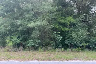 Lot 422 423 SW Shorewood Dr, Dunnellon, FL 34431 - Photo 1