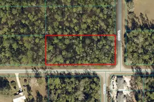 Tbd Lot 19 SW Ivy Pl, Dunnellon, FL 34431 - Photo 1