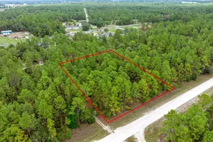 SW 64 St, Ocala, FL 34481 - Photo 1