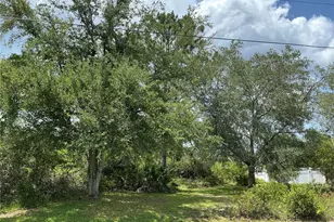 29 Louisiana Dr, Palm Coast, FL 32137 - Photo 1