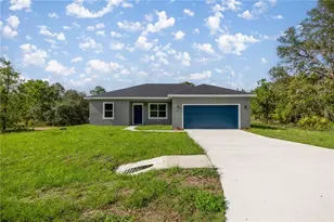 142 Guava Pass, Ocklawaha, FL 32179 - Photo 1