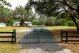13255 NE 165th St, Fort Mc Coy, FL 32134 - Photo 1