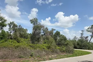 000 SW 153rd Loop, Ocala, FL 34473 - Photo 1