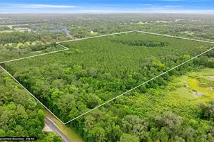 Tbd NW 160th St, Reddick, FL 32686 - Photo 1