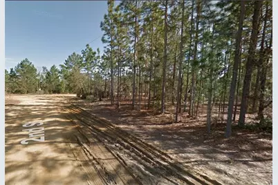 00 2nd Street, Interlachen, FL 32148 - Photo 1