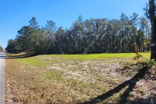 Tbd SW 137 St, Ocala, FL 34473 - Photo 1