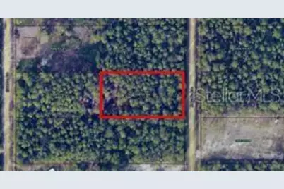 10705 Delgado Avenue, Hastings, FL 32145 - Photo 1