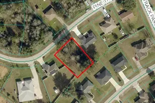 Pine Track Trail, Ocala, FL 34472 - Photo 1