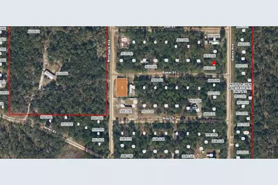 00 Baker Street, Interlachen, FL 32148 - Photo 1