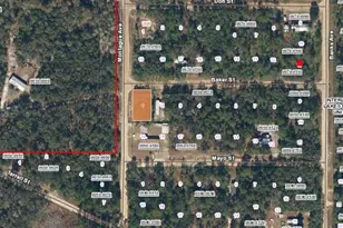 00 Baker St, Interlachen, FL 32148 - Photo 1