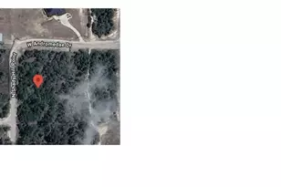 10965 N Shady Hill Point, Dunnellon, FL 34433 - Photo 1