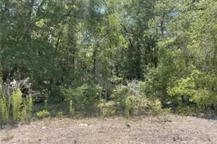 Tbd SW 22nd Pl, Ocala, FL 34481 - Photo 1