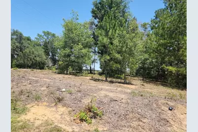 Lot 1 SW Pine Bluffs Road, Dunnellon, FL 34431 - Photo 1