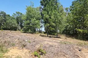 Lot 1 SW Pine Bluffs Rd, Dunnellon, FL 34431 - Photo 1