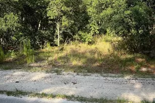 SW 72nd Terrace, Dunnellon, FL 34432 - Photo 1