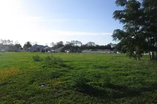 Tbd SE 68th Ct, Belleview, FL 34420 - Photo 1