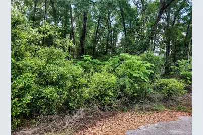 Tbd NE 155th Court, Williston, FL 32696 - Photo 1
