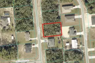 Tbd SW 42nd Terrace, Ocala, FL 34473 - Photo 1