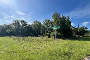 1425 W Mosswood Ln, Citrus Springs, FL 34434 - Photo 1