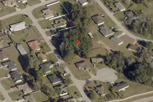 0 Chestnut Run, Ocala, FL 34480 - Photo 1