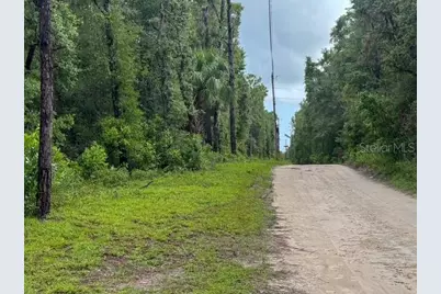 Tbd NW 97 Court, Chiefland, FL 32626 - Photo 1