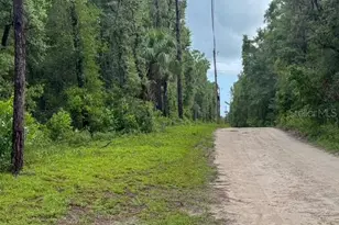 Tbd NW 97 Ct, Chiefland, FL 32626 - Photo 1