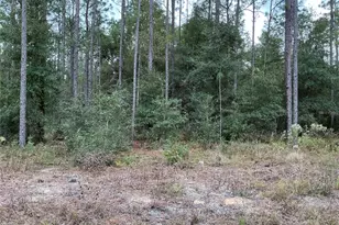 SW 29th St, Ocala, FL 34481 - Photo 1