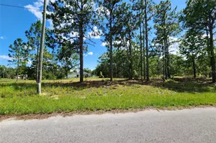 Malauka Radial Run, Ocklawaha, FL 32179 - Photo 1