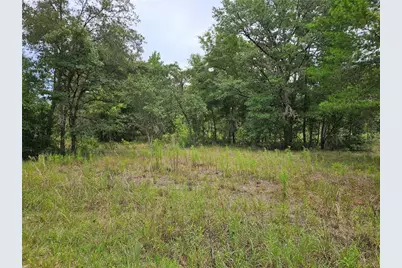 921 NE 148th Court, Williston, FL 32696 - Photo 1