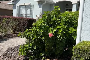 8701 SW 83rd Cir, Ocala, FL 34481 - Photo 1