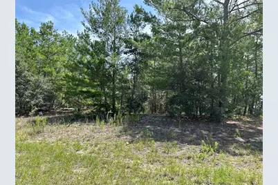 6202 N Mariner Terrace, Citrus Springs, FL 34433 - Photo 1