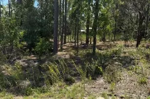 Tbd Oak Ln Circle, Ocala, FL 34472 - Photo 1