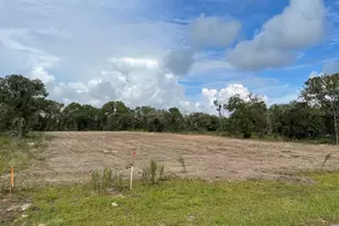 4880 SW Marigold Ct, Dunnellon, FL 34431 - Photo 1