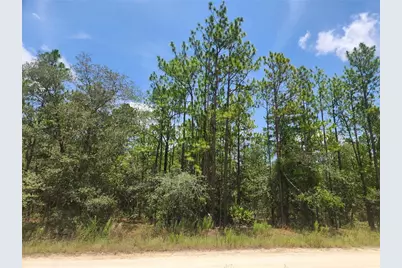 Sw 76 Lane, Dunnellon, FL 34432 - Photo 1