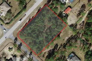 5543 W Buckskin Dr, Beverly Hills, FL 34465 - Photo 1