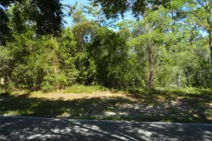 119 Oak Village Blvd, Homosassa, FL 34446 - Photo 1