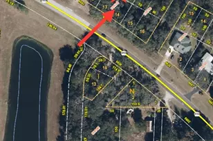 6677 N Old Hwy 441, Mount Dora, FL 32757 - Photo 1