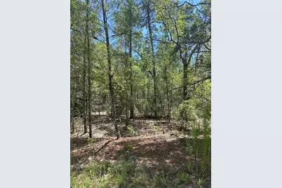 121 Pear Street, Welaka, FL 32193 - Photo 1