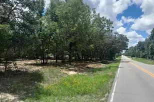 Tbd NE 105th Ave, Bronson, FL 32621 - Photo 1