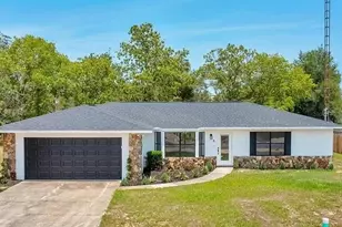 6 Bahia Cir Loop, Ocala, FL 34472 - Photo 1