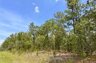 5317 N Mint Point, Beverly Hills, FL 34465 - Photo 1