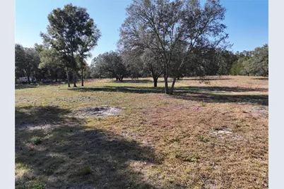 6671 NE 131st Avenue, Williston, FL 32696 - Photo 1