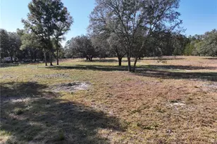 6671 NE 131st Ave, Williston, FL 32696 - Photo 1