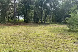 Lot 9 SW Ivy Pl, Dunnellon, FL 34431 - Photo 1