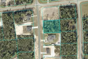 Lot 19 SW 36 Ave, Ocala, FL 34473 - Photo 1