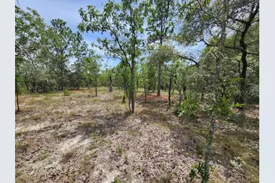 Lot 14 SW Indian Hill Drive, Dunnellon, FL 34431 - Photo 1