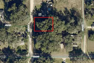 Tbd SE 38th Terrace, Summerfield, FL 34491 - Photo 1