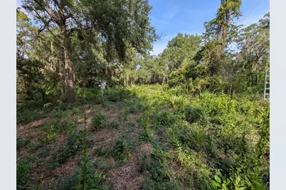 9747 NE 302nd Court, Salt Springs, FL 32134 - Photo 1