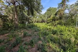 9747 NE 302nd Ct, Salt Springs, FL 32134 - Photo 1
