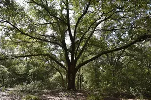 Off SE 30th St, Inglis, FL 34449 - Photo 1